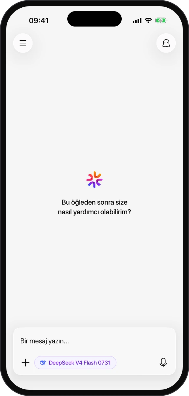 Nami's empty chat home screen with DeepSeek V4 Flash selected